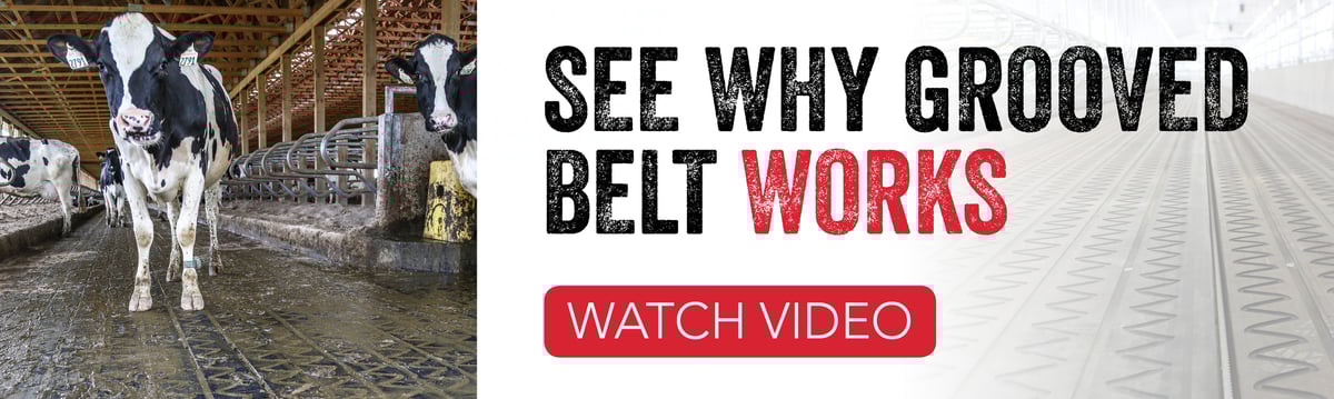 Grooved Belt-1