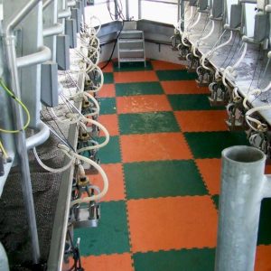 Parlour Tiles